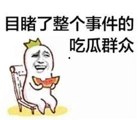 娱乐吃瓜酱职场冷知识,娱乐圈职场生存法则揭秘