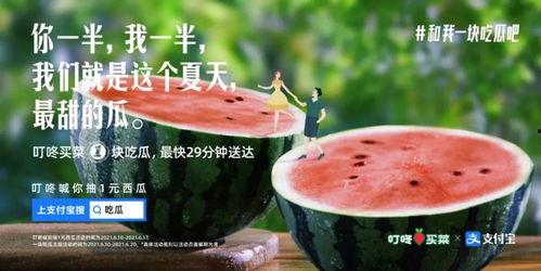 娱乐吃瓜文案怎么弄,跟随吃瓜群众，探寻明星幕后故事