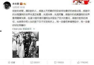 娱乐吃瓜 大事件小说,揭秘年度十大娱乐大事件