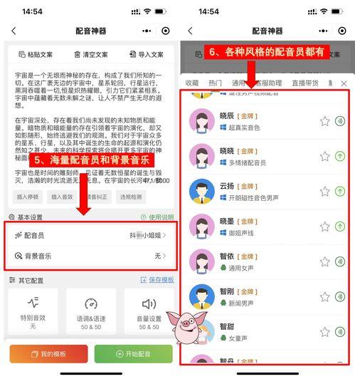 娱乐吃瓜视频的配音软件,轻松打造趣味配音，让你的视频更具魅力