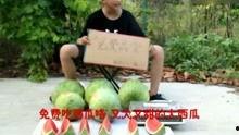 搞笑娱乐吃瓜视频大全集,搞笑娱乐视频大全集精彩回顾
