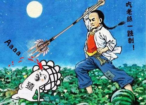 抖个大包袱娱乐吃瓜,揭秘娱乐吃瓜背后的趣味与智慧
