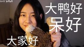 娱乐圈吃瓜up主,吃瓜UP主带你探秘明星幕后故事