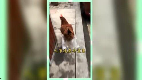 娱乐吃瓜群众一名,吃瓜群众视角下的明星幕后故事
