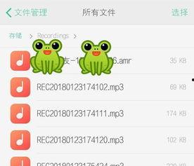 娱乐吃瓜音频在哪找到的,娱乐吃瓜音频的神秘来源
